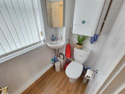 Picture 13